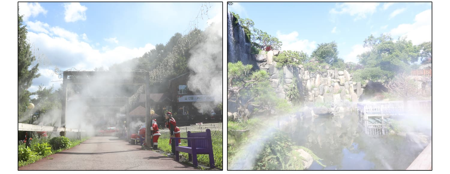 [반려견 동반, 서울 근교 여행지] 포천 허브아일랜드, 반려견과 함께 떠나는 사계절 힐링 여행