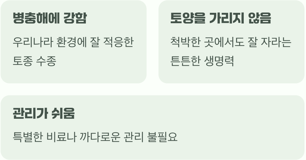2. 까다롭지 않은 성격&amp;#44; 초보 정원사의 든든한 친구
