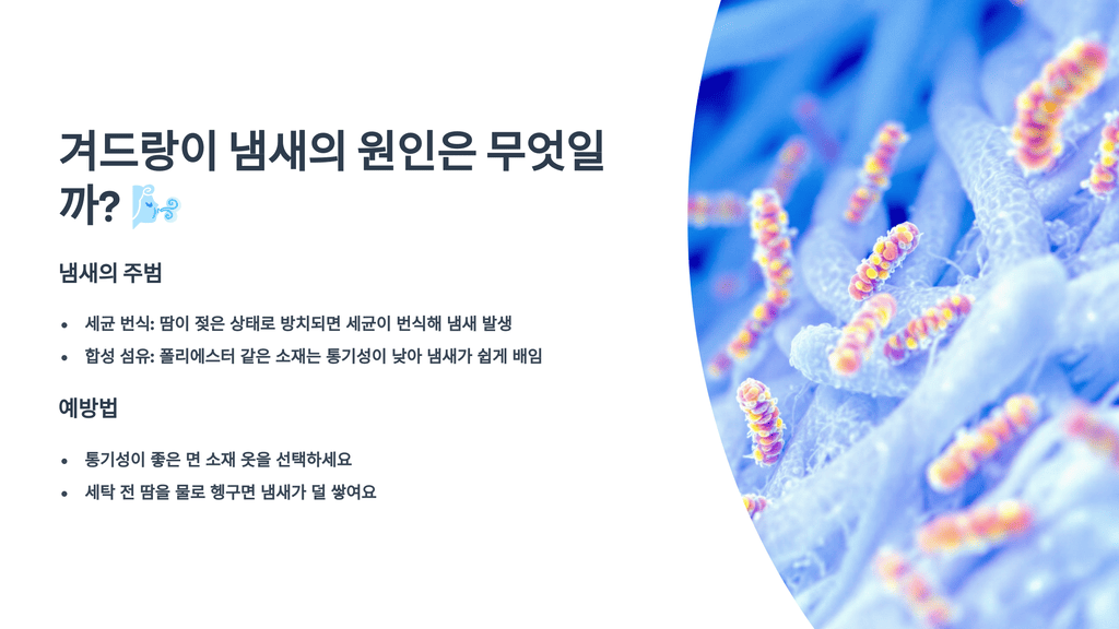 겨드랑이 냄새의 원인은 무엇일까?