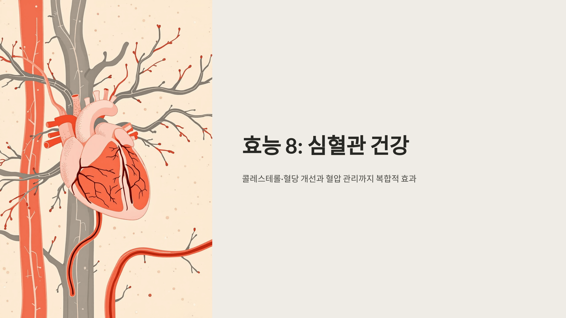 차전자피 사진입니다.