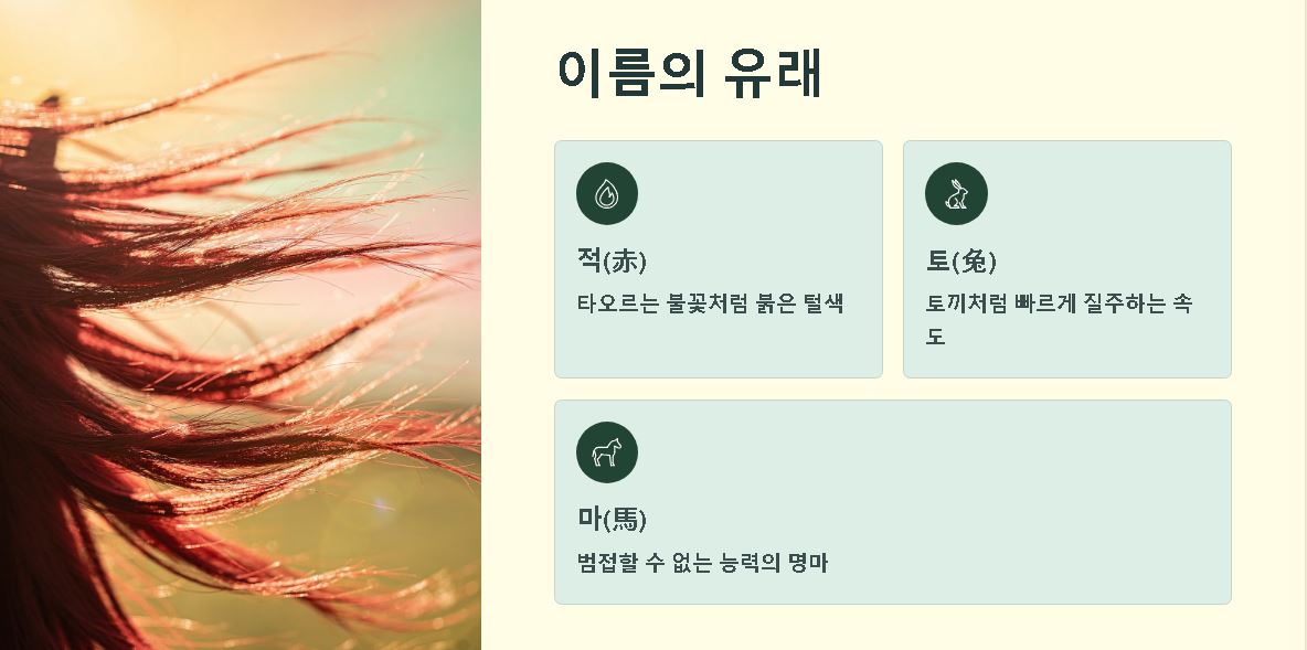 적토마 뜻 역사 의미 유래