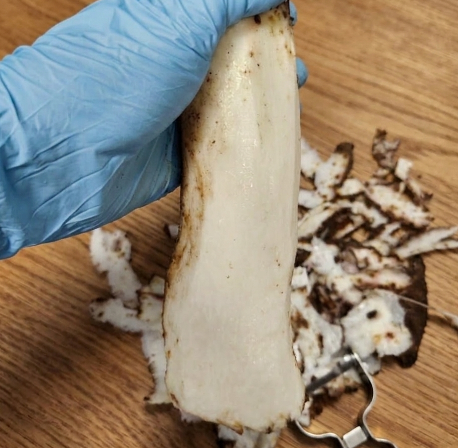 나무 식탁 위에서 파란색 니트릴 장갑을 끼고 스테인리스 필러로 껍질을 벗겨 하얀 단면이 드러난 신선한 생마 손질 사진.