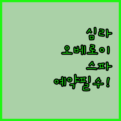 히말라야 뷰 심라 오베로이 세실 스파..