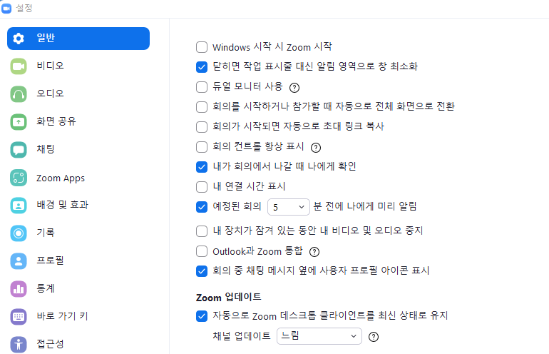 zoom 설정