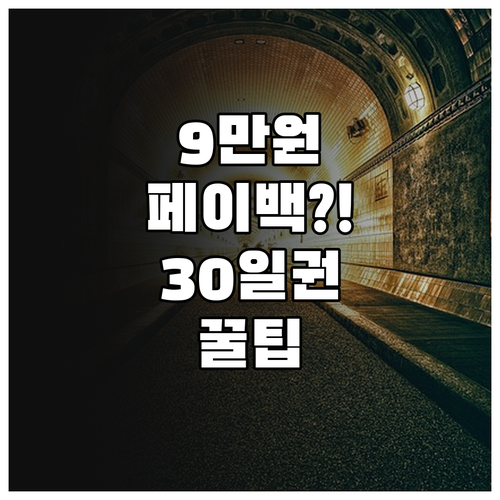 기후동행카드 30일권 페이백 최대 9..