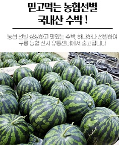 수박달인