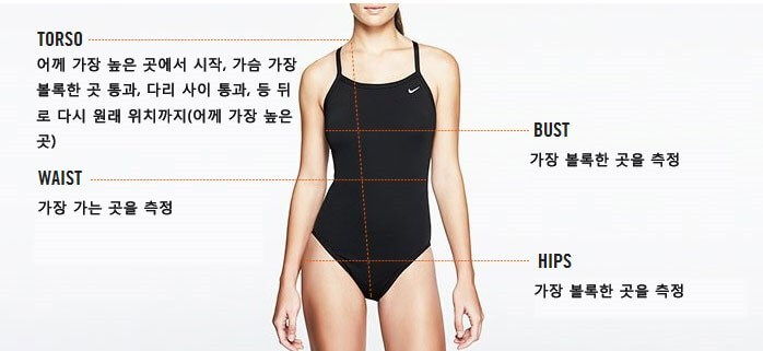수영복 사이즈