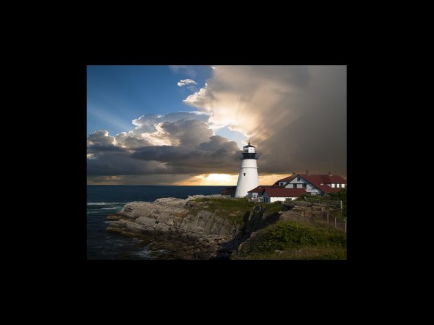 딸기 효능 두 번째 - 면역력 증진