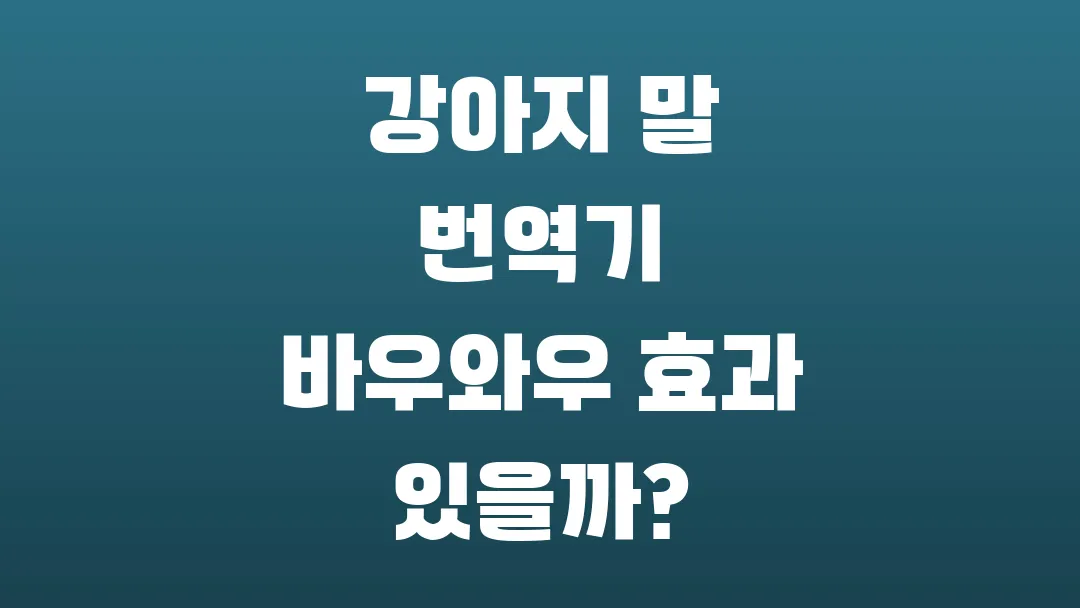 강아지 말 번역기 바우와우 효과 있을까?