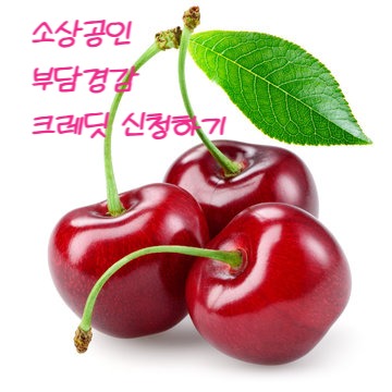 소상공인 부담경감 크레딧