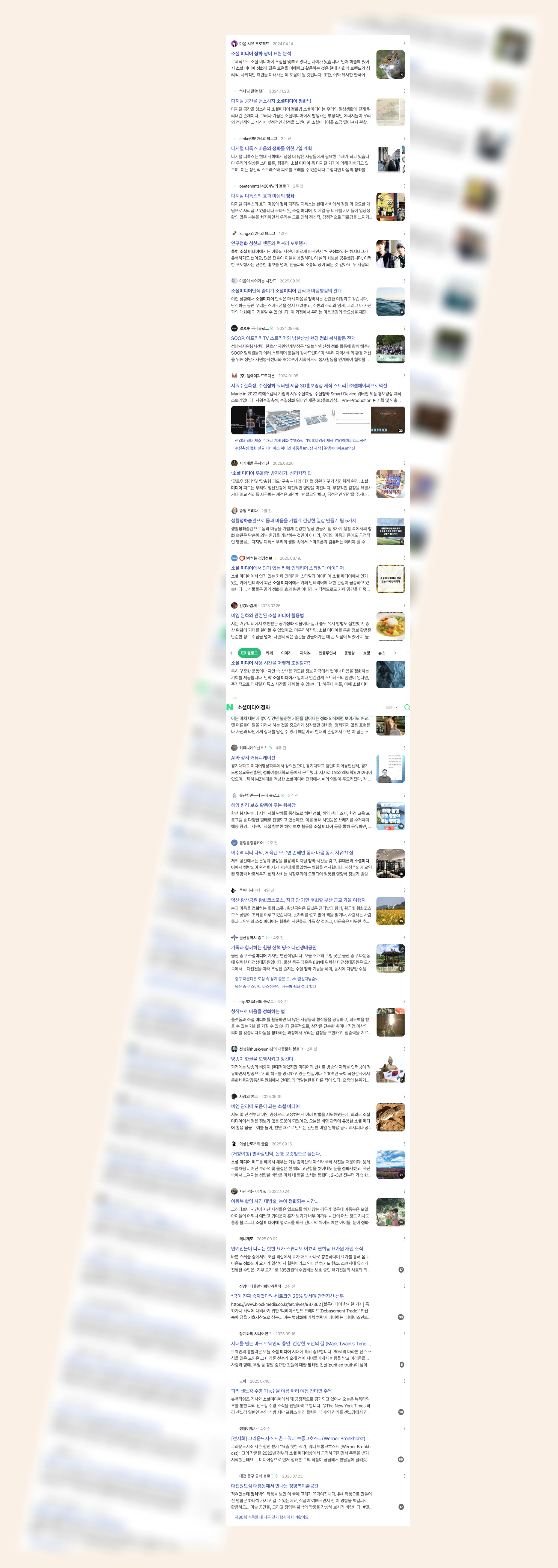 소셜미디어정화_2_subsection