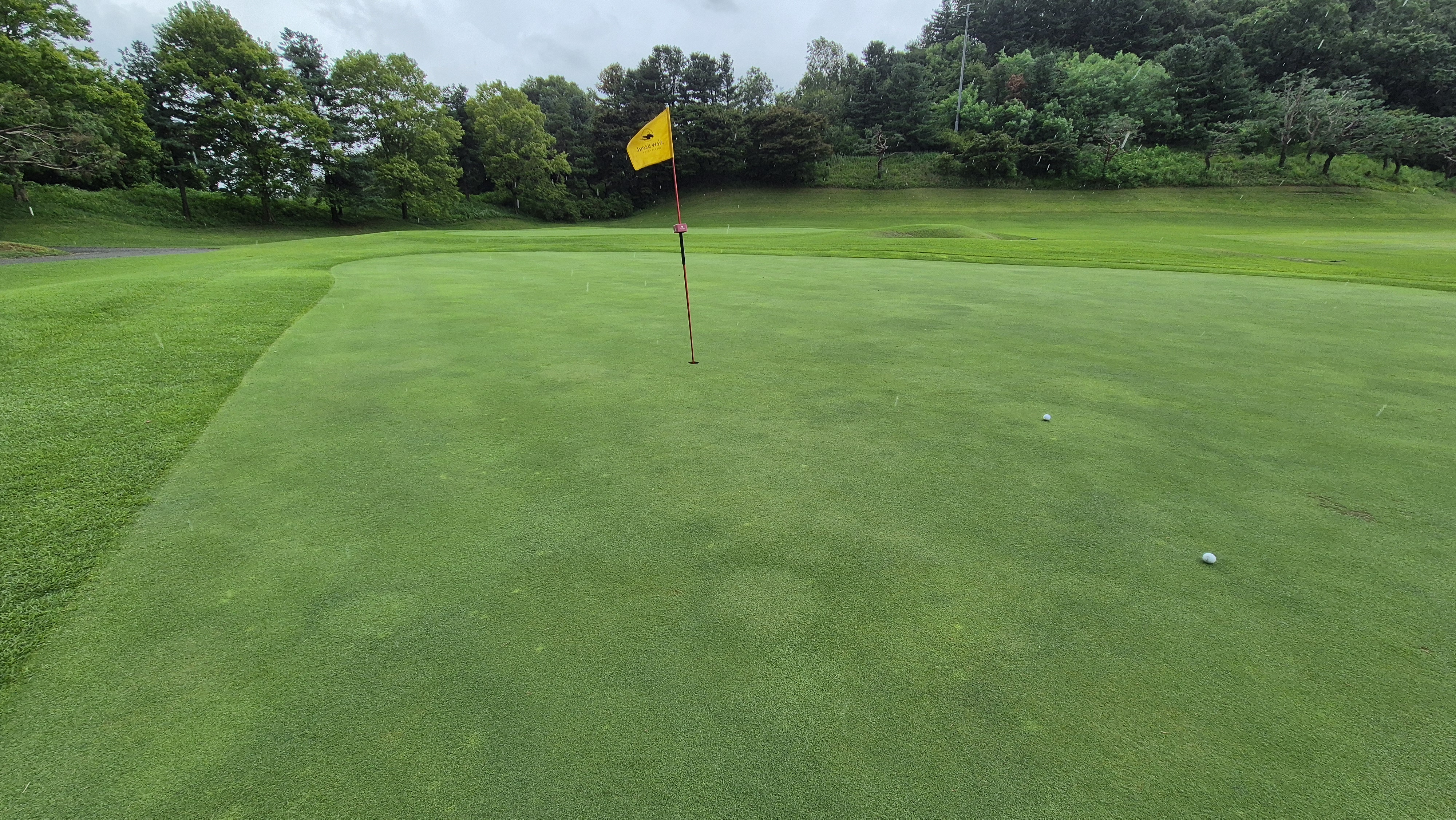 뉴서울cc 예술in-문화in 코스 라운드 후기