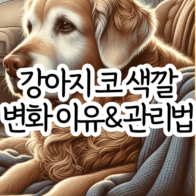 강아지 코 색깔 관리 방법