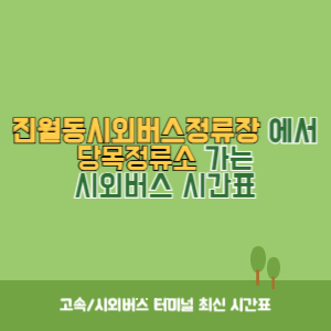 진월동시외버스정류장에서 당목정류소 가는 시외버스 시간표 최신정보