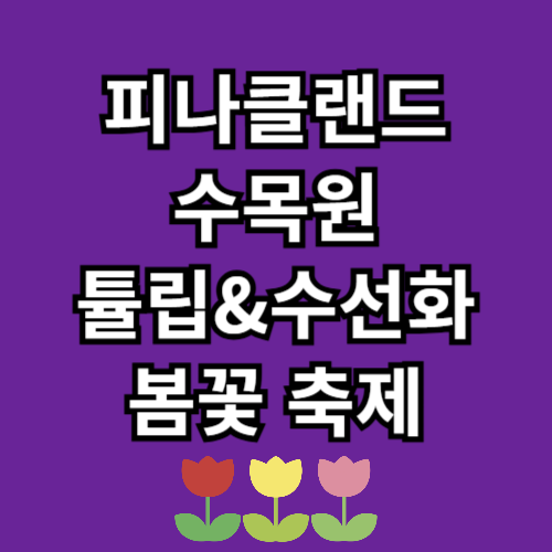 피나클랜드 수목원 튤립축제