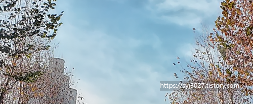 Alt 속성 문제 해결 설명 이미지