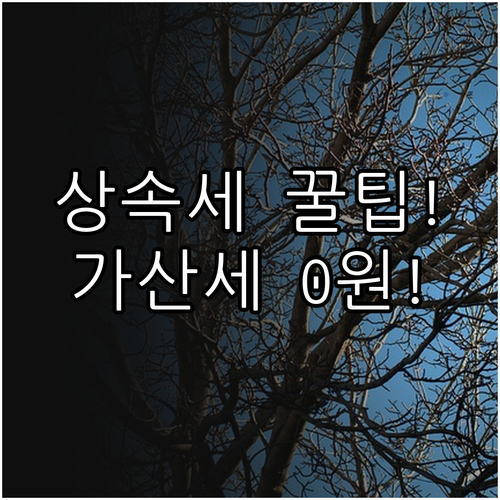 상속세 신고 납부 기한 가산세 피하는..