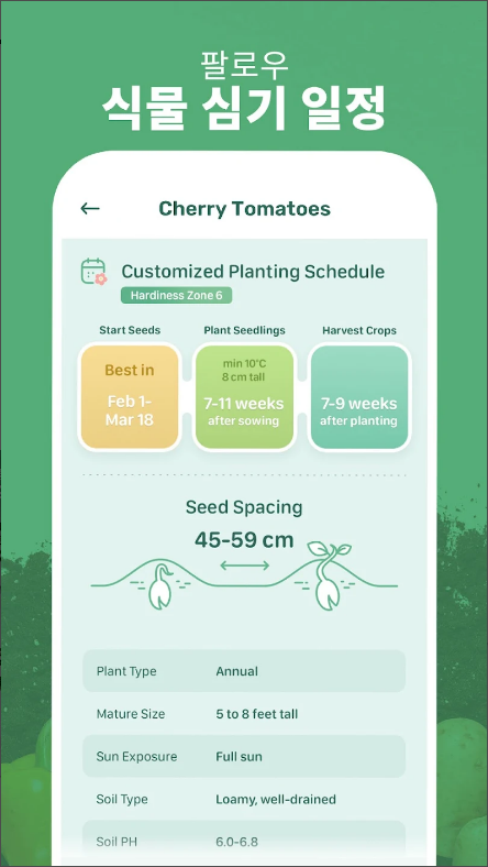 Blossom, 식물, 꽃, 다육 식물, 나무 식별하기