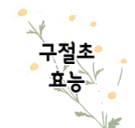 이 이미지를 클릭하시면 구절초 효능에 관한 포스팅으로 이동됩니다.