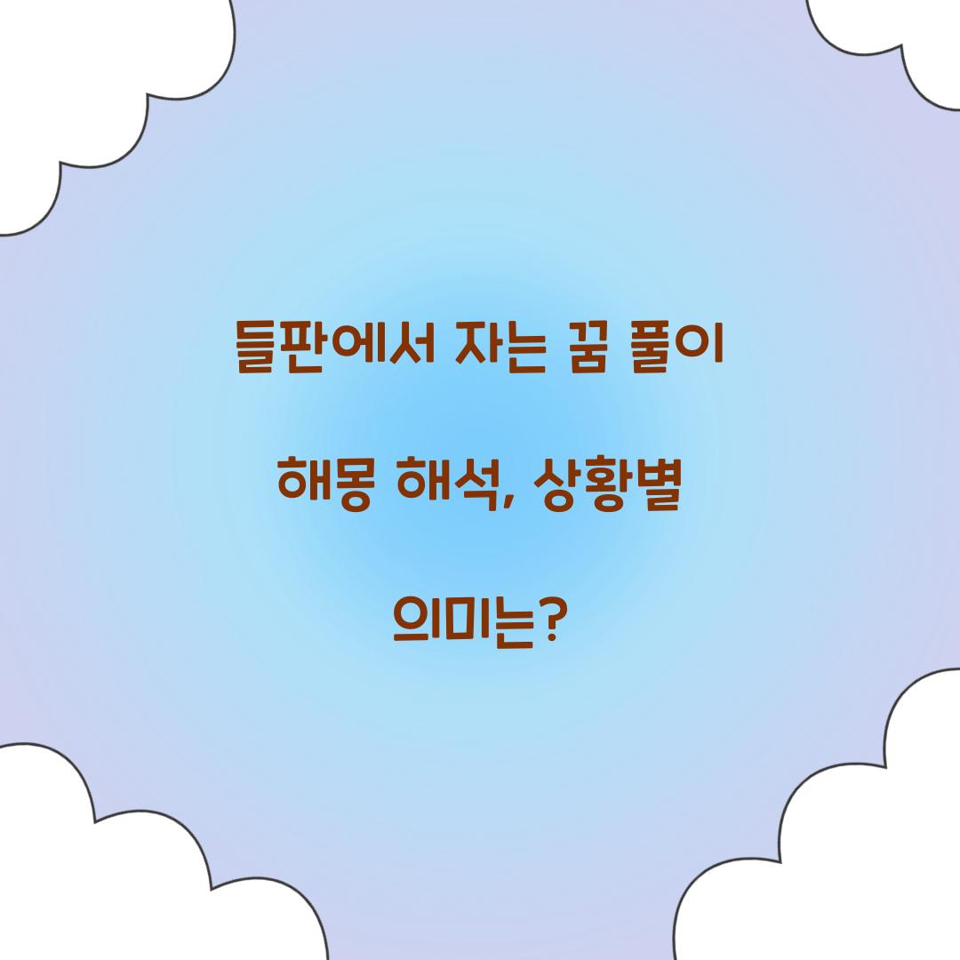 들판에서 자는 꿈 풀이 해몽 해석