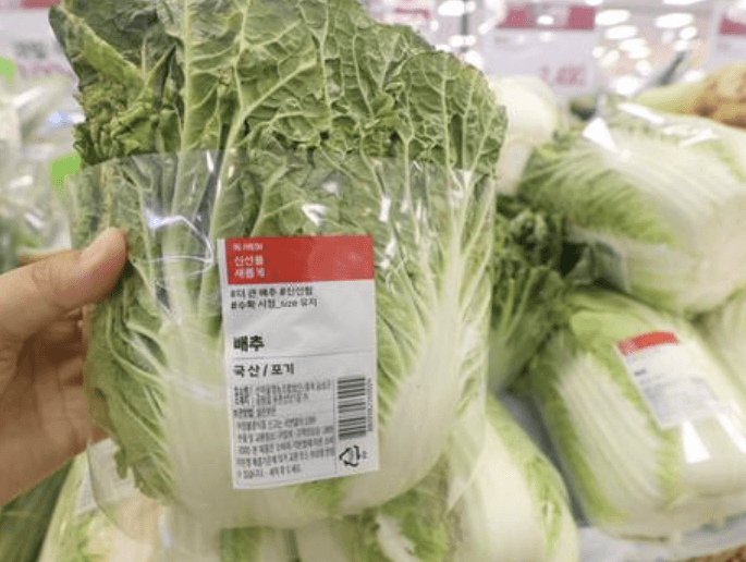 배추 전량 방출