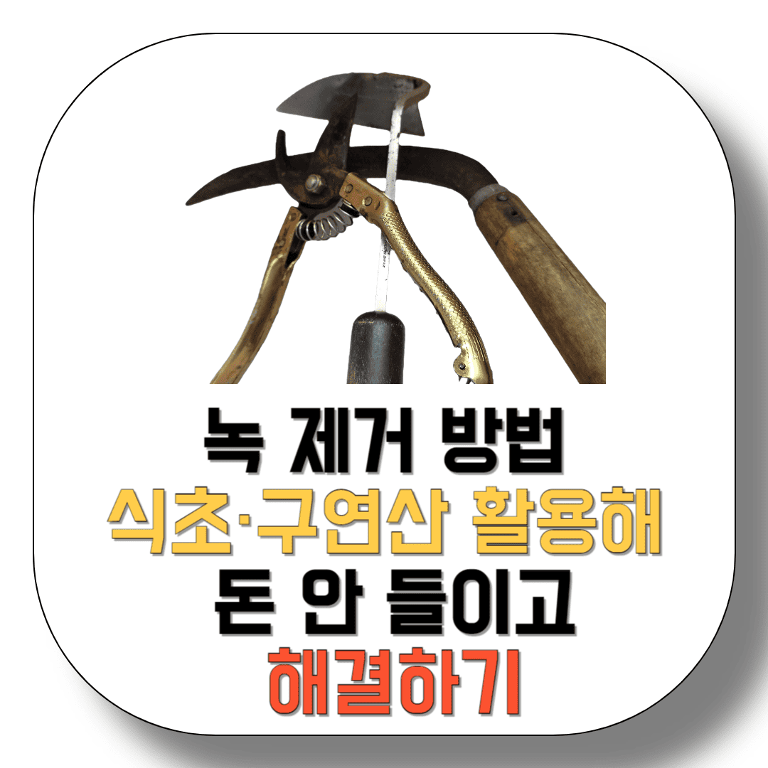 녹-제거-방법-식초&middot;구연산-활용해-돈-안-들이고-해결하기-썸네일