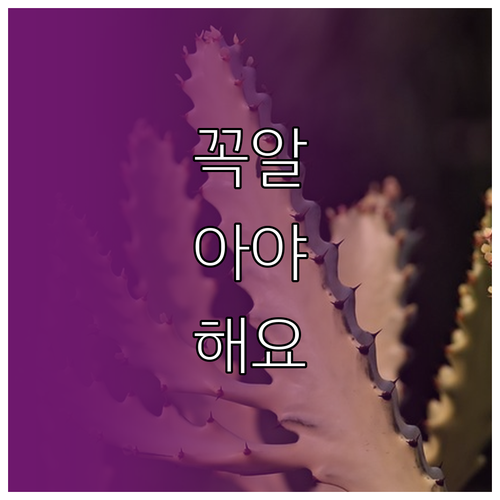 아직도 게스트하우스 못 골라? 이 3..