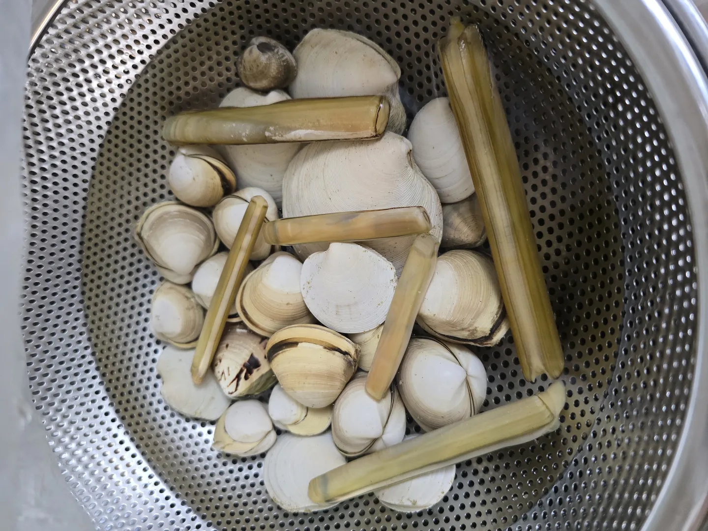 그릇에 소금물과 함께 해감 중인 맛조개