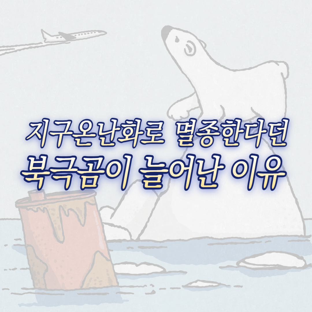 북극곰 개체 수 늘어난 이유 썸네일