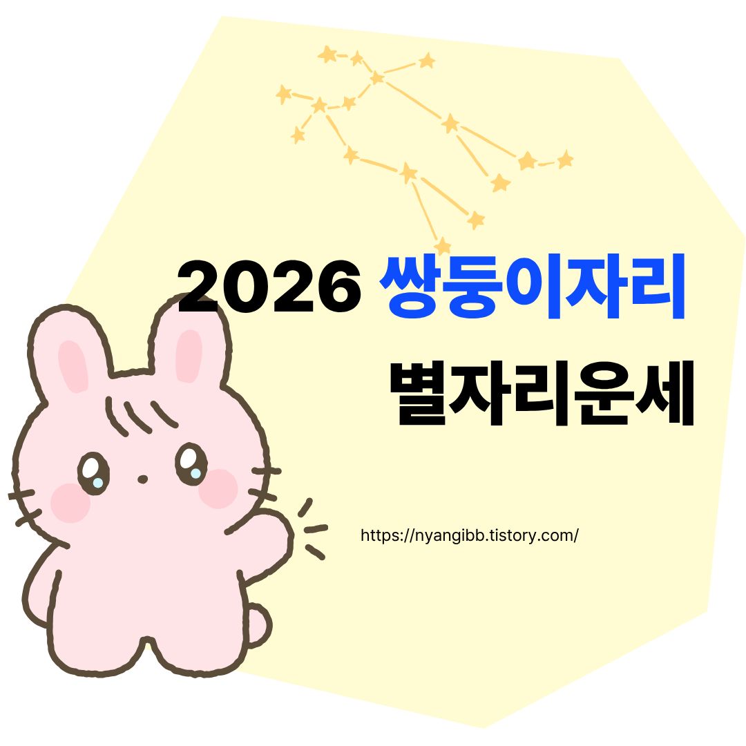 2026 쌍둥이자리 별자리 운세 관련 사진
