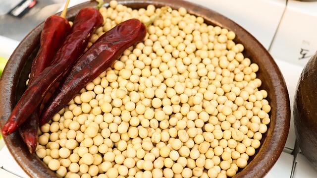 전통 간장 추천