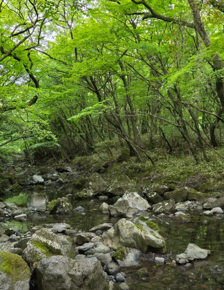 제주도 가볼만한곳 추천 베스트 10 (꼭 가봐야할 곳!)