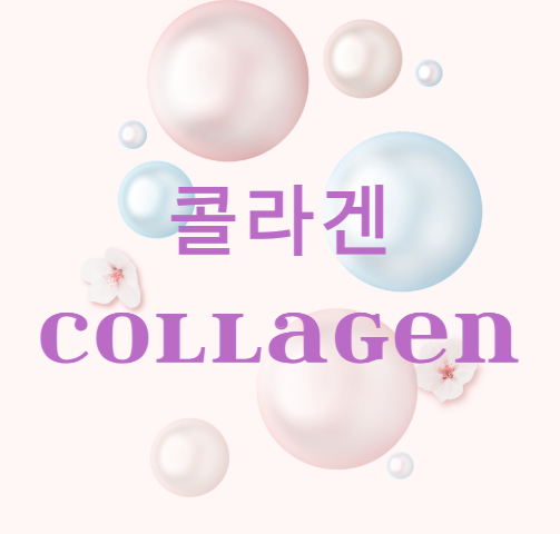 콜라겐 많은 음식