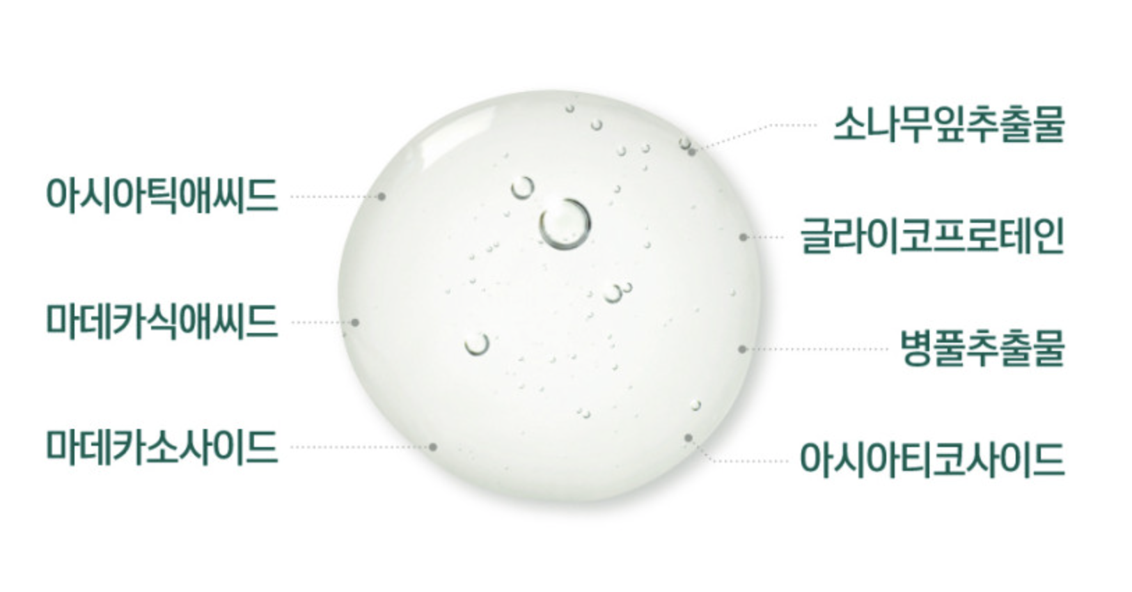 소나무 앰플 성분