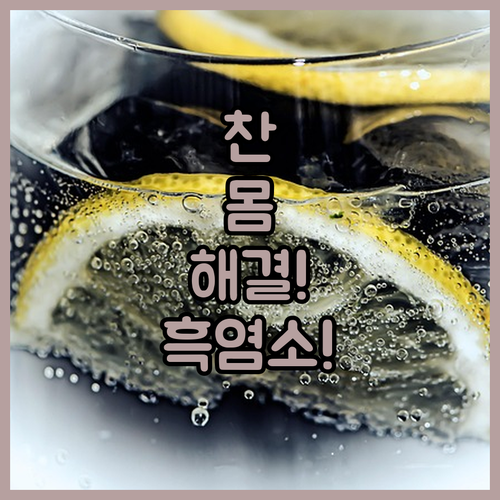 몸 차가운 분 필독 흑염소진액 3대 ..