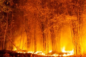 LA 산불 원인 산불지역 지도 위치 진화현황 산불 피해액