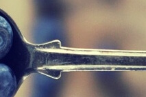 눈 영양제 추천