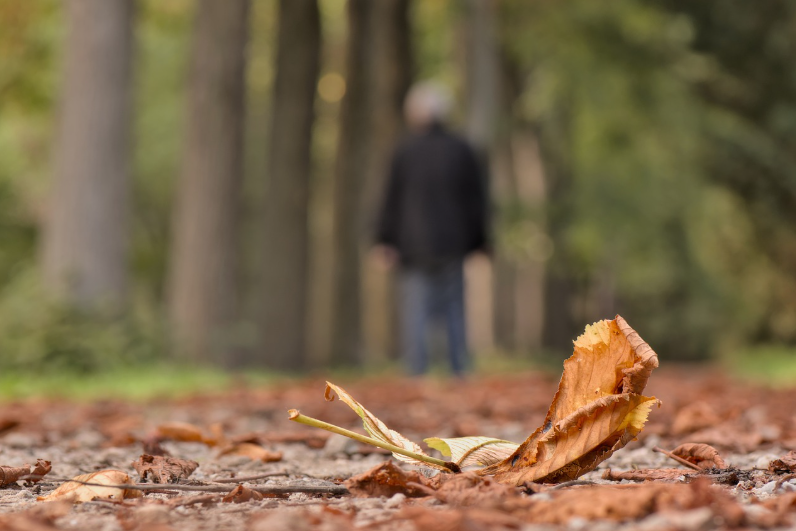 알츠하이머와 노화의 차이는 무엇이며, 알츠하이머병은 예방 가능한가?