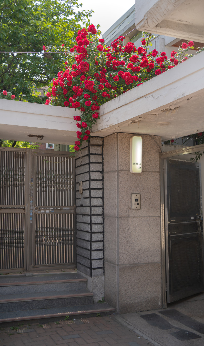 행궁동 운멜로 장미