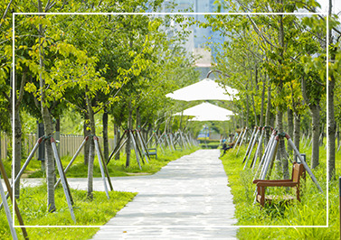 부산시민공원 왕벚나무 산책길 이미지 / 출처: 부산 시민공원