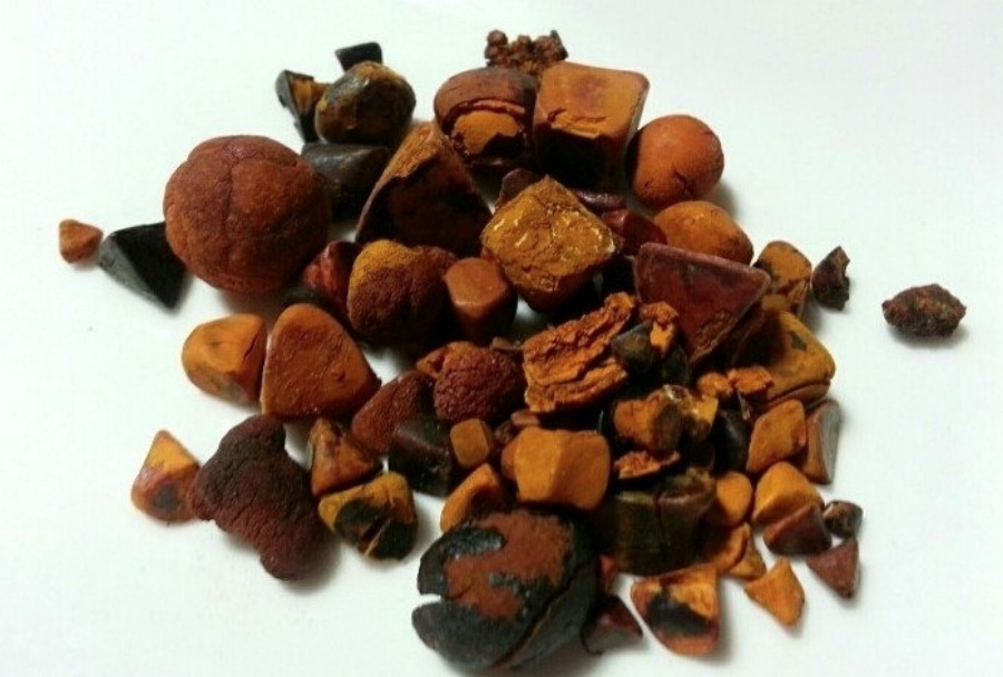 야생에서 채취를 한 우황을 깨끗하게 세척한 후에 하얀 바닥 위에 수북하게 놓아두고 찍은 사진