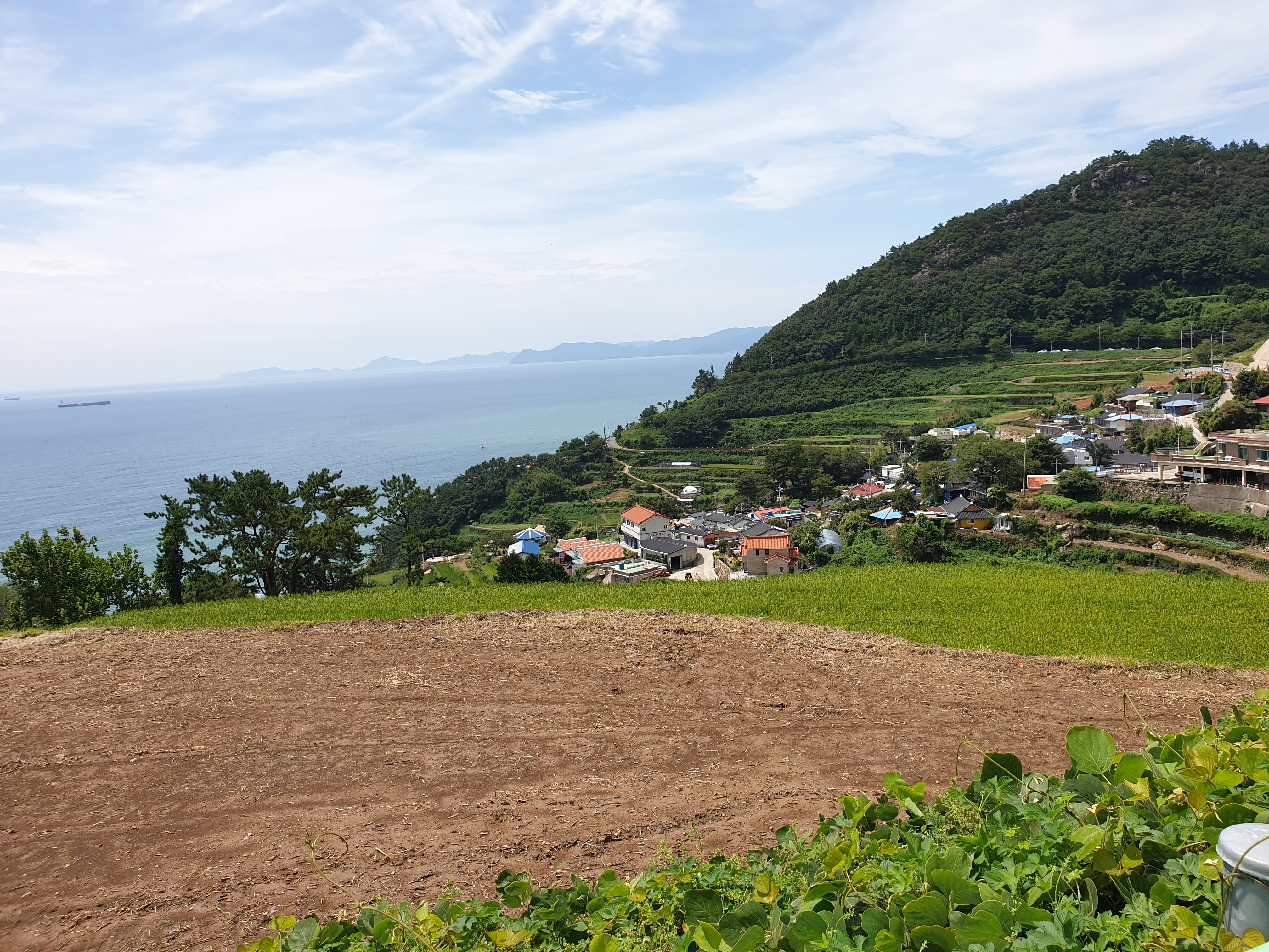 다랭이 마을의 팀워크를 보여주는 사진