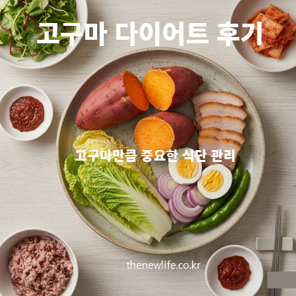 고구마, 계란, 돼지고기 수육, 채소, 현미밥이 함께 담긴 균형 잡힌 다이어트 식단