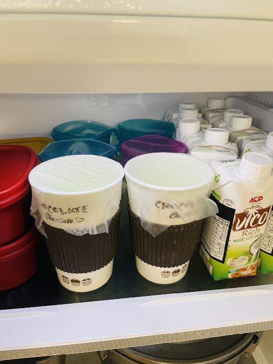 [나의 하루 루틴. 3편] 정오에 시작하는 나의 속 편한 건강 한 끼 🍳