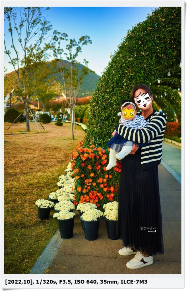 양산 황산공원 국화축제 국화터널 포토존