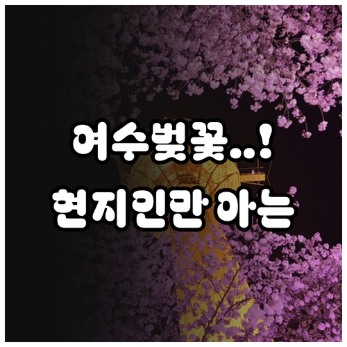 여수 벚꽃 여행 코스 및 현지인 추천..