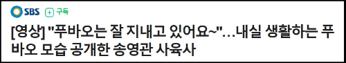 알트태그-푸바오 내실 생활 뉴스 바로가기