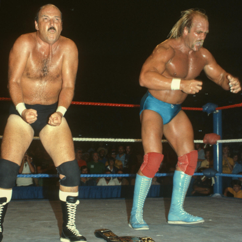 헐크 호건 사망 원인