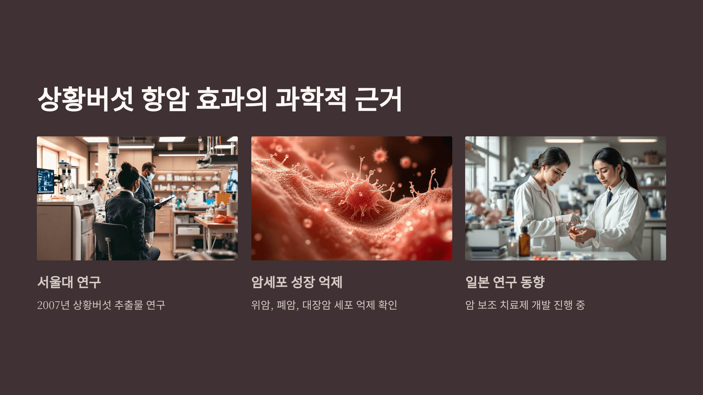 상황버섯 사진입니다.