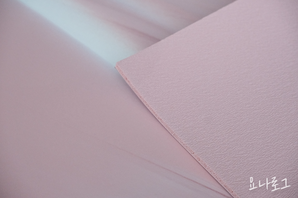 요가매트 요가매트추천 홈트 룰루레몬 룰루레몬요가매트 요가복 요가복추천 요가링 요가링추천 홈트추천 20대여성선물 여자친구선물 30대여성선물 20대여자선물 대학생선물 직장인선물 30대여자선물